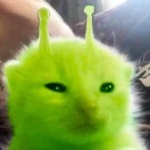 Amoriixmimi member profile picture