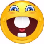 zzzbau member profile picture
