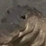 ArtBios member profile picture