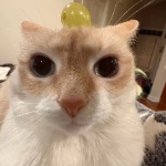 Some_random_idiot member profile picture