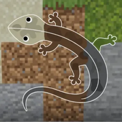 Chameleon (Hide and Seek)