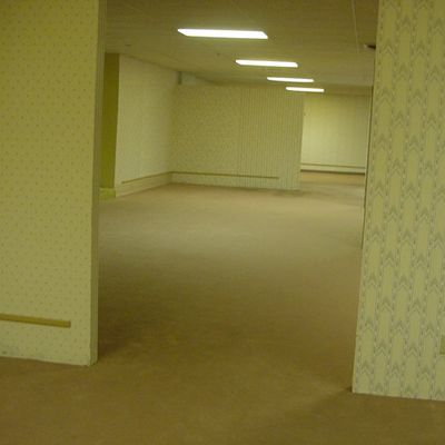 Driplexr's Backrooms pack