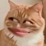 user_qb9hxvtzpgppi94c member profile picture