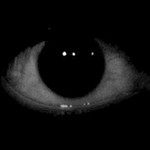 View sharkyfan9's Profile