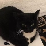 View Maxwellll123's Profile