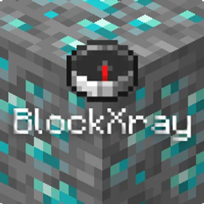 BlockXray