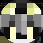 thatmdfan member profile picture