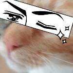 View NomisTR20288's Profile