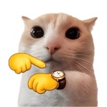 Akuser member profile picture
