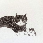 octflwr member profile picture