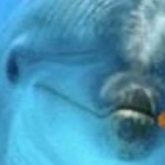 View Dolfgun's Profile