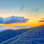 View Simalachia's Profile