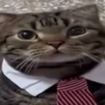 Quicklime member profile picture