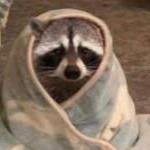 AxelXD member profile picture