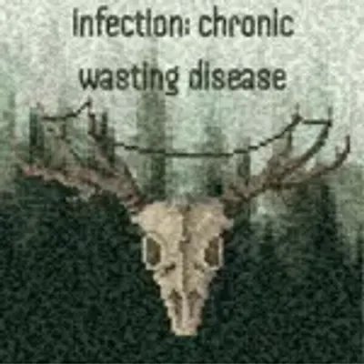 Infection; chronic wasting disease logo