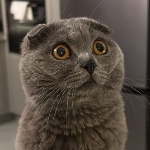 mr_Goodman06 member profile picture