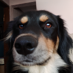 View Bigotez's Profile