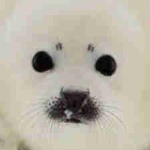 View DeXXms_'s Profile
