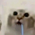 Oleshka member profile picture