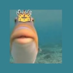 View 8UTTERTheme's Profile