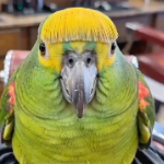 link5412 member profile picture