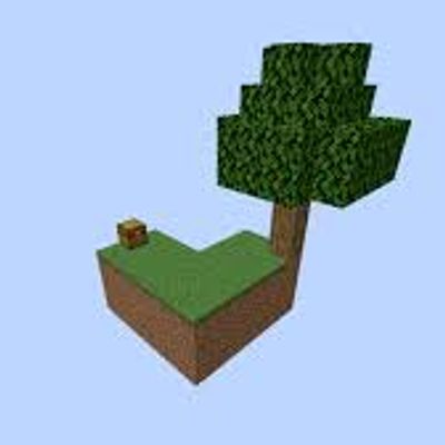 Skyblock With Biomes