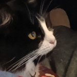 profesoradino member profile picture