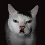barzin member profile picture