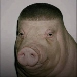 JustAGuy333 member profile picture
