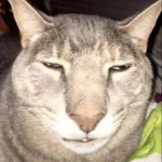 View Plaskacz's Profile