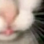 Cheto5777 member profile picture