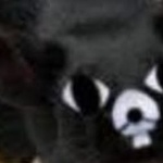 jfbyxbr777 member profile picture