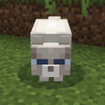 Salphex member profile picture