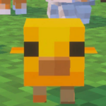 Chimkim member profile picture
