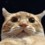Sekitsuiclan member profile picture