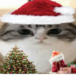 View Mrlavq's Profile