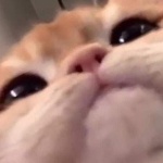 View ElMerch's Profile
