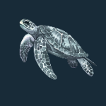 3milyyy333 member profile picture