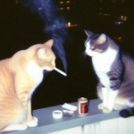 View zChronos's Profile