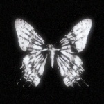 ChillThaPlug member profile picture