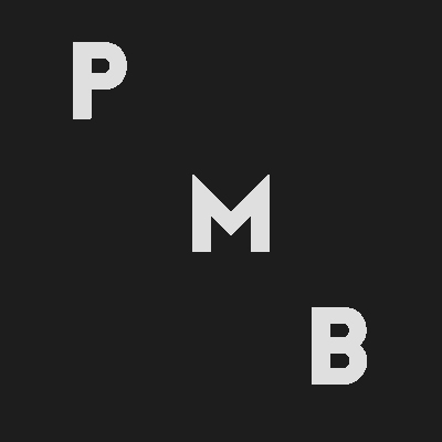PattysMoreBlocks logo