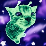 synnfulI member profile picture