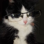 NoahDy_125_Lysander member profile picture