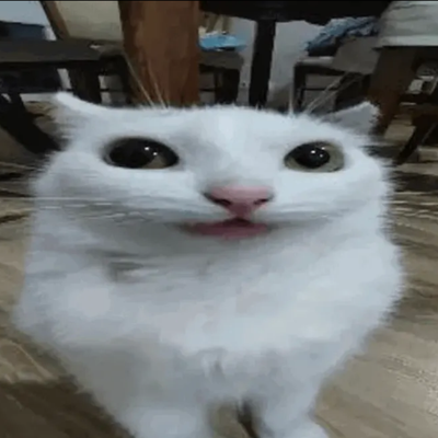 Cat Nextbot