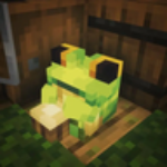 Ordovicium member profile picture