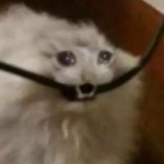 Czepek_123 member profile picture