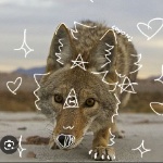 Goop_The_Therian member profile picture