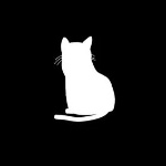 IamWhite member profile picture
