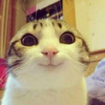 Ares_726 member profile picture