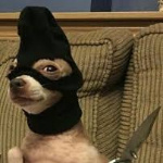YordanTheGod member profile picture